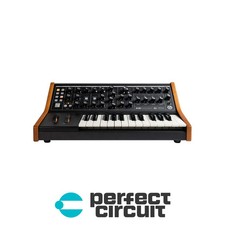 Moog Subsequent 25 Paraphonic