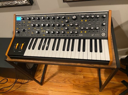 Moog subsequent paraphonic - moog, 37